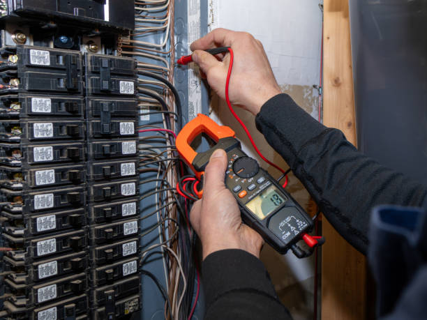 Best Electrician for Home Renovation  in Wrightsboro, NC